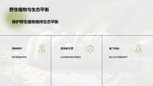 绿色行动，我们在行动