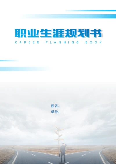 12页4900字汉语言文学专业职业生涯规划.docx