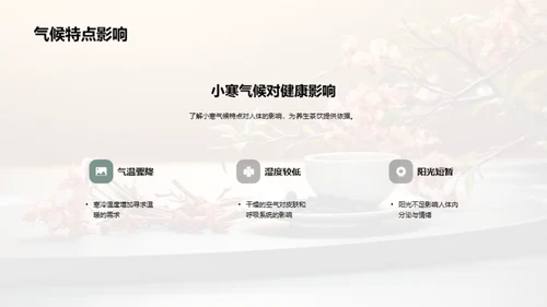 小寒茶饮养生方案