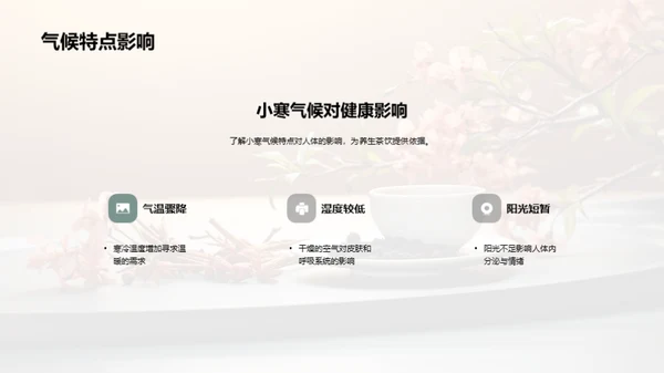 小寒茶饮养生方案