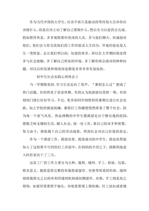 初中生社会实践心得体会范文.docx