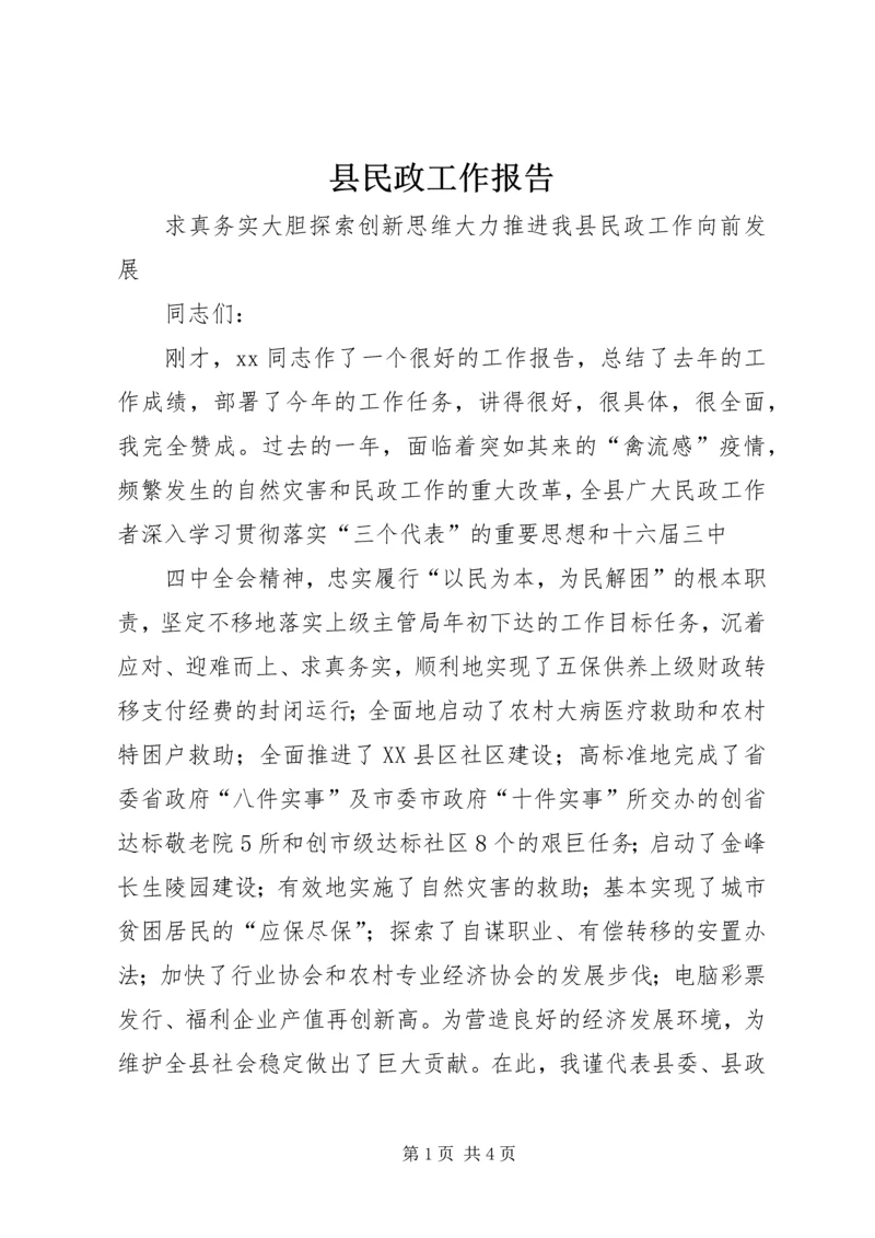 县民政工作报告 (2).docx