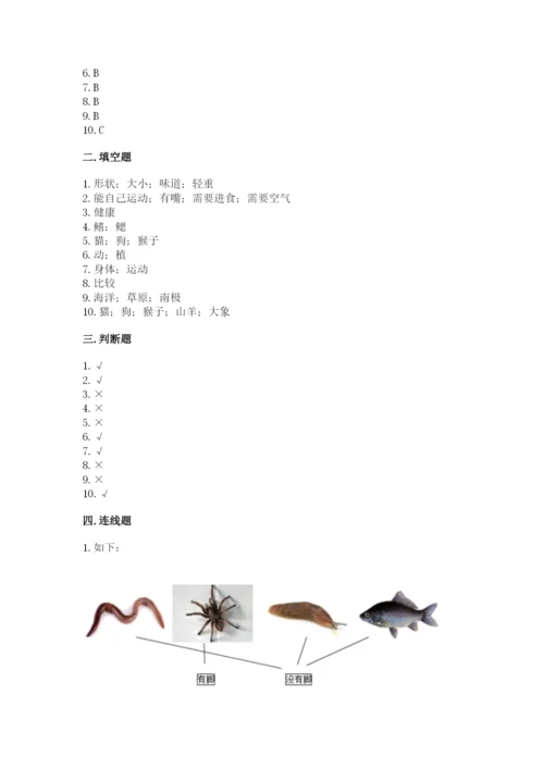 教科版一年级下册科学期末测试卷精品（名校卷）.docx