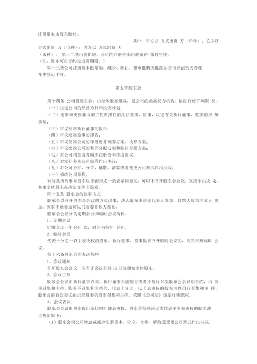 外商合资有限责任公司设执行董事、不设监事会章程参考样式.docx