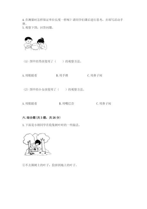教科版一年级上册科学期末测试卷（考点梳理）.docx