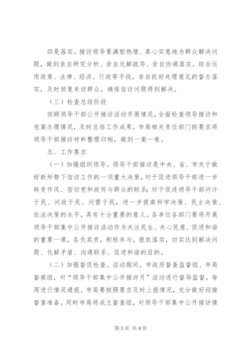 工商局公开接访月实施方案.docx