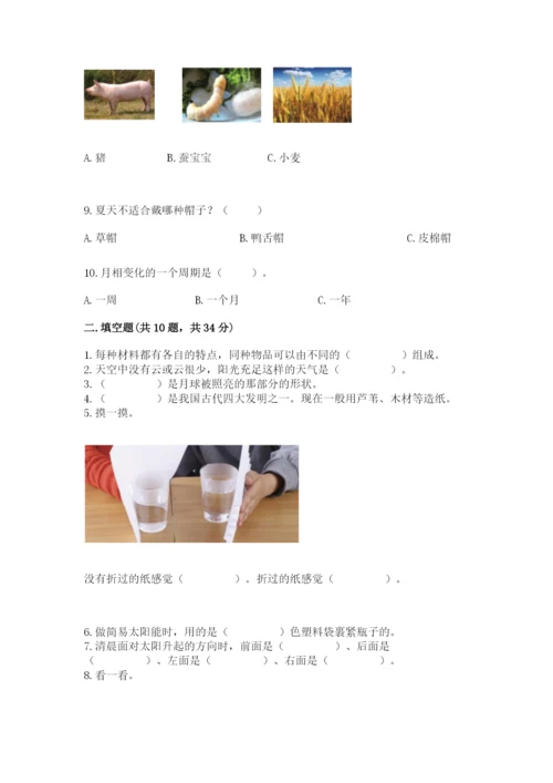 教科版二年级上册科学期末测试卷带精品答案.docx