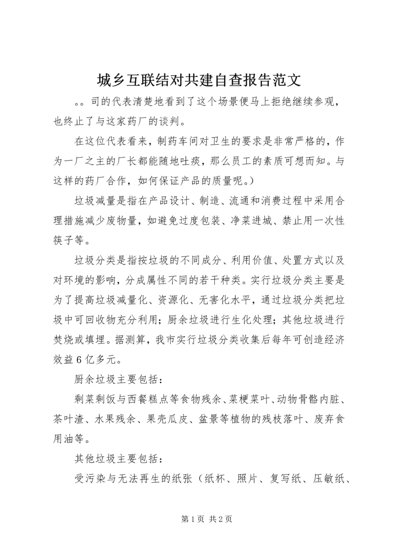 城乡互联结对共建自查报告范文.docx