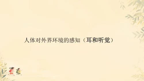 初中生物学人教版（新课程标准）七年级下册4.6.1人体对外界环境的感知课件(共33张PPT)
