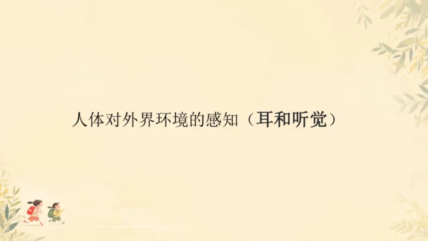 初中生物学人教版（新课程标准）七年级下册4.6.1人体对外界环境的感知课件(共33张PPT)