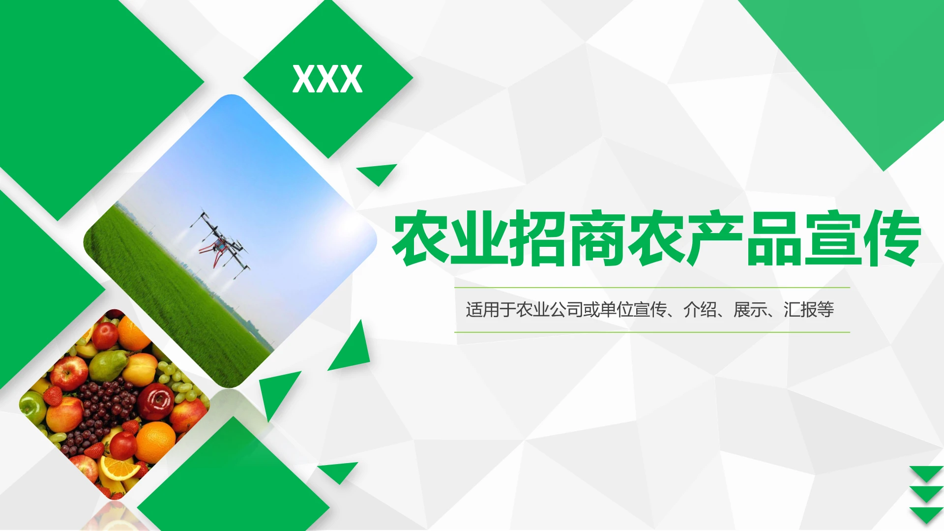 农业招商农产品宣传PPT模版