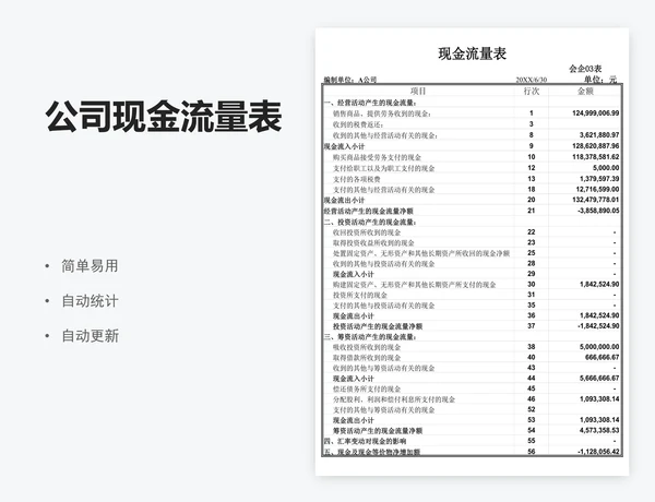 公司现金流量表