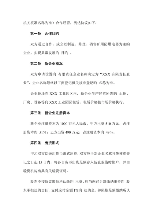 共同出资成立新公司方案.docx