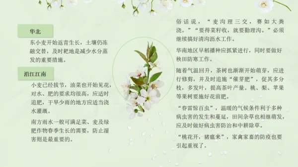 惊蛰淡绿色二十四节气实践教学课件通用PPT模板