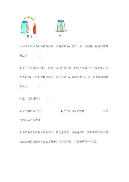 教科版三年级上册科学期末测试卷1套.docx