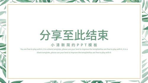 小清新简约社会实践综合报告PPT模板