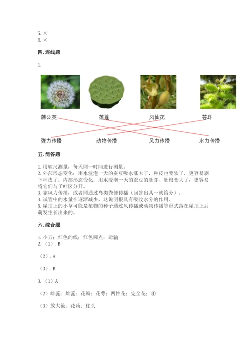 科学四年级下册第一单元《植物的生长变化》测试卷精品（有一套）.docx