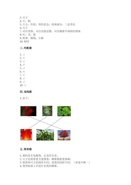 教科版一年级上册科学期末测试卷及答案（基础+提升）.docx