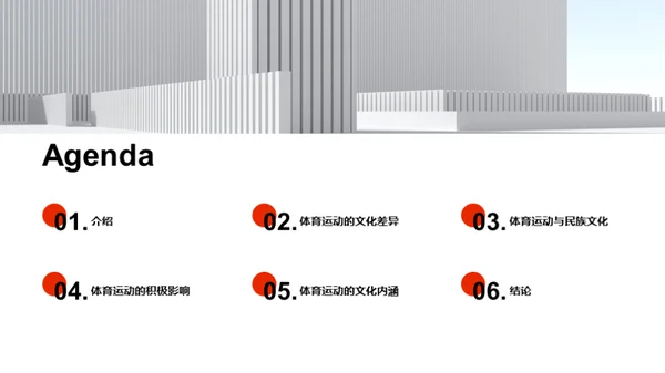 体育运动：文化的传播者
