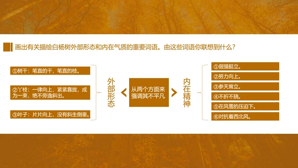 初中语文茅盾《白杨礼赞》PPT教学课件