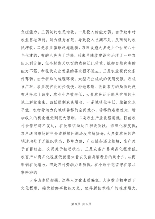增收致富工程调研报告 (2).docx