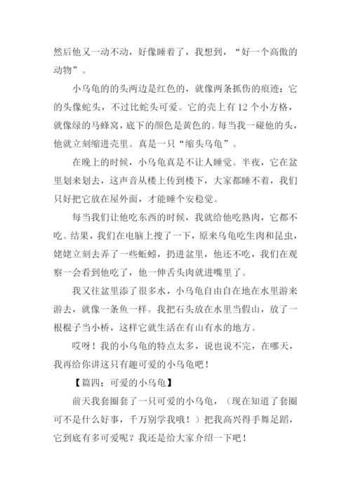 小乌龟的作文.docx
