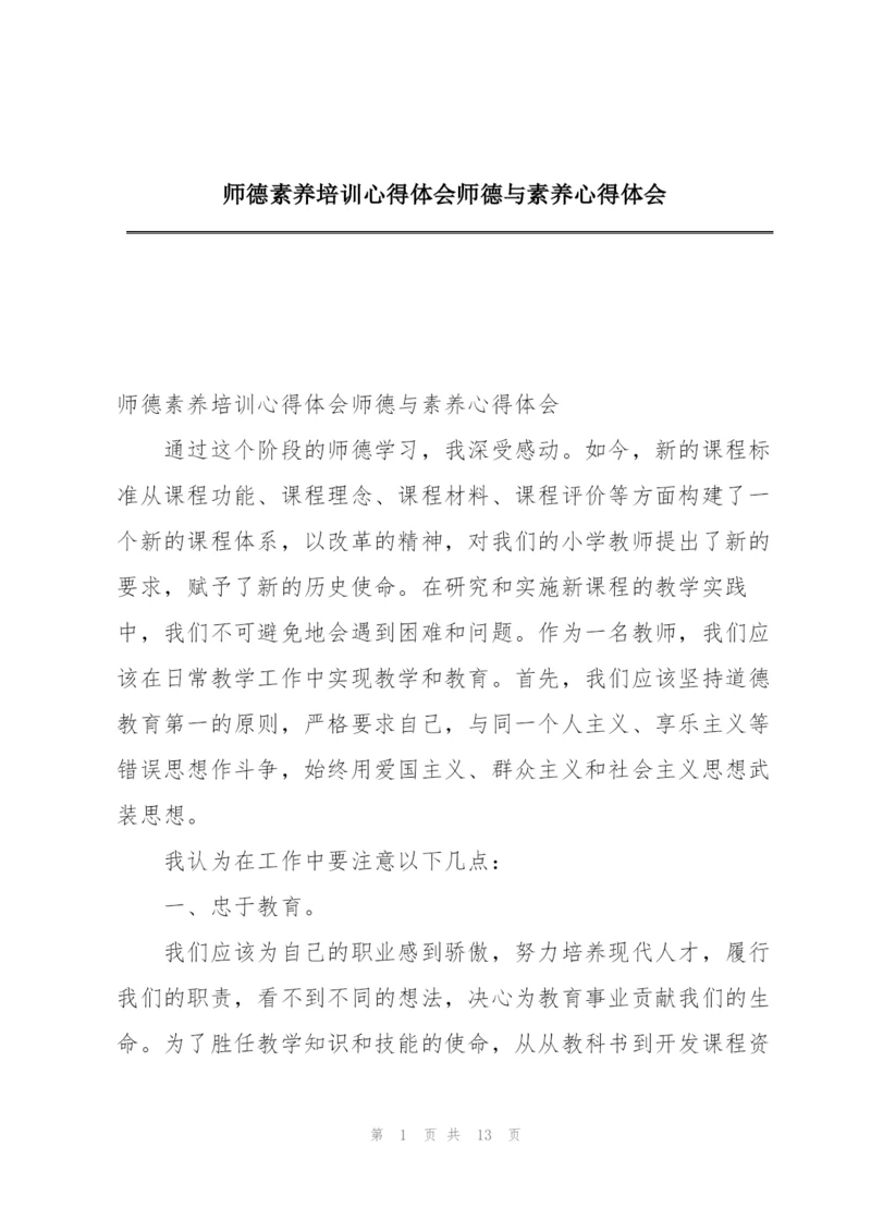 师德素养培训心得体会师德与素养心得体会.docx