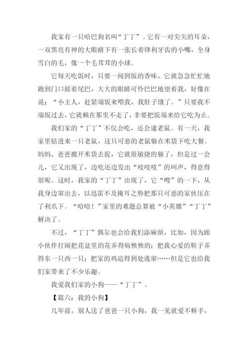 我的小狗作文450字.docx