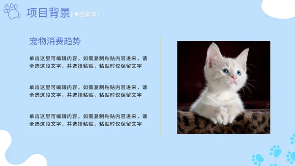 蓝色卡通简约萌宠宠物店项目计划书PPT模板