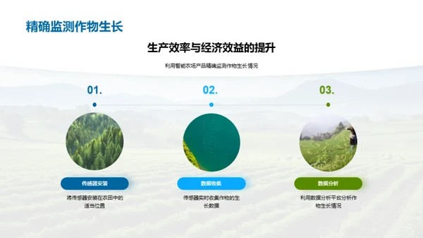农业革新：智能农场洞察