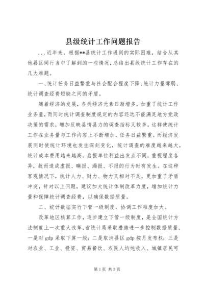 县级统计工作问题报告.docx