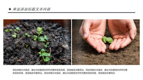绿色唯美植物生长敬畏生命发芽PPT模板