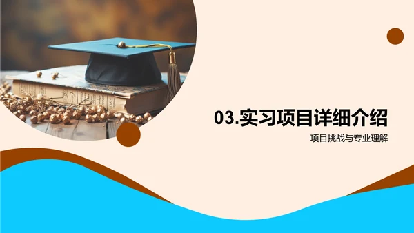 实习之旅透视