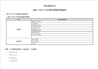 “EHS安全P序列任职资格等级标准   修改技能标准版1