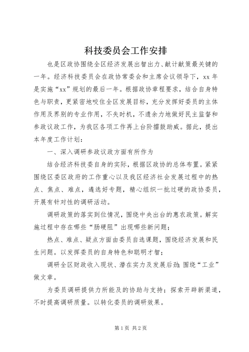 科技委员会工作安排.docx