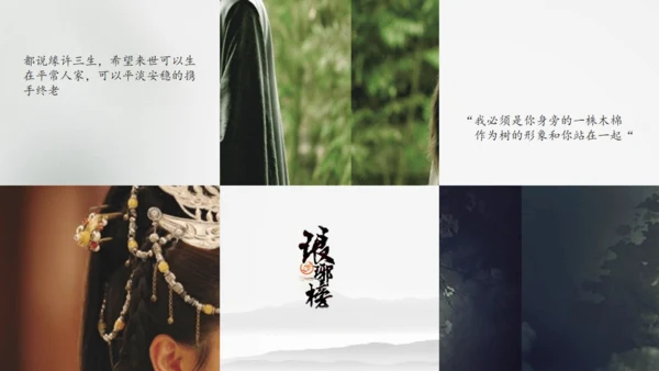 电视剧《琅琊榜》作品介绍通用PPT模板