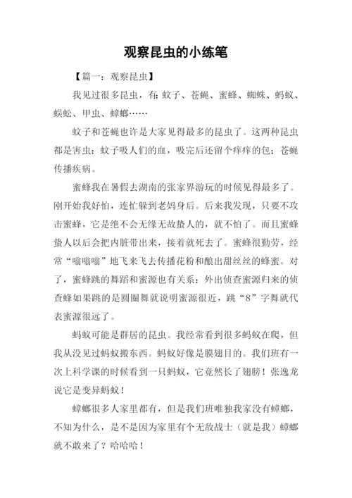 观察昆虫的小练笔.docx