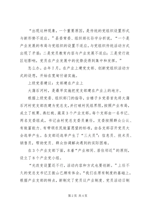 产业建支部：让党组织“活”起来.docx