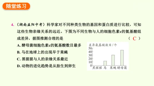 7.3.2生物进化的历程-八年级生物人教版下学期同步精品课件(共34张PPT)