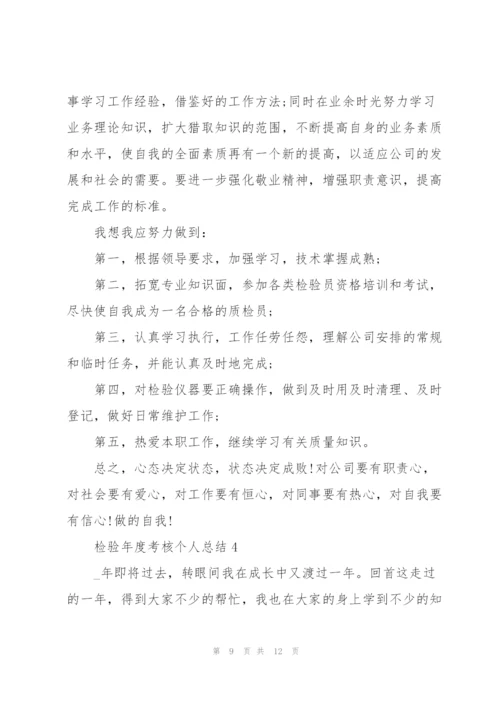 检验年度考核个人总结5篇.docx