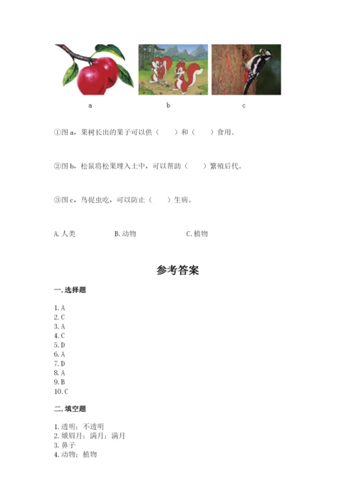 教科版二年级上册科学期末测试卷（能力提升）.docx