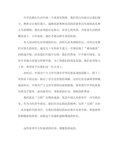 精编青春的火炬范文.docx