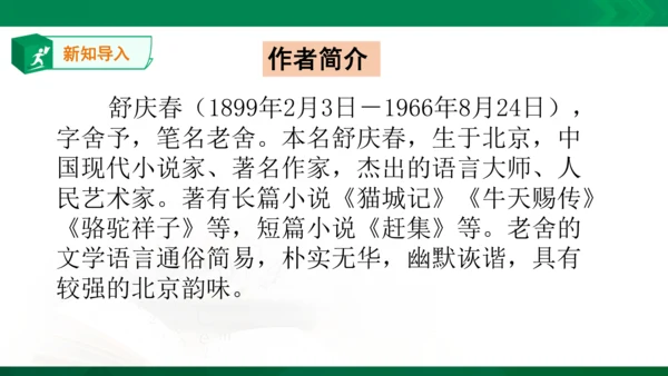 13.《人物描写一组——他像一棵挺脱的树》课件