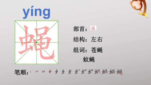 6 夜间飞行的秘密   课件