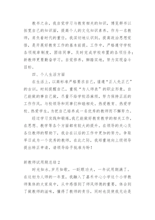 新教师试用期总结.docx