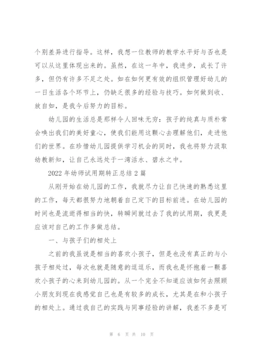 2022年幼师试用期转正总结3篇.docx