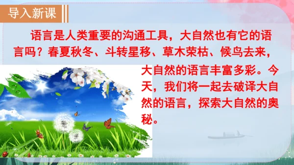 5《大自然的语言》课件