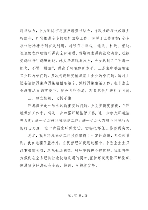 乡镇环境保护目标完成情况自查报告.docx