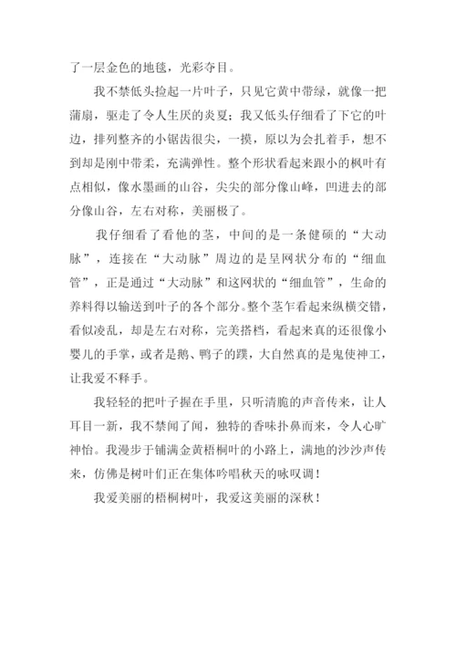 关于秋天的作文-3.docx