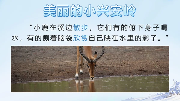 部编版三年级上册第二十课美丽的小兴安岭PPT模板